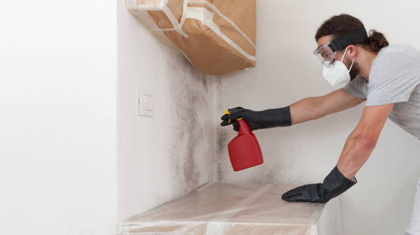 Professional Mold Remediation technician working in Ivor, VA