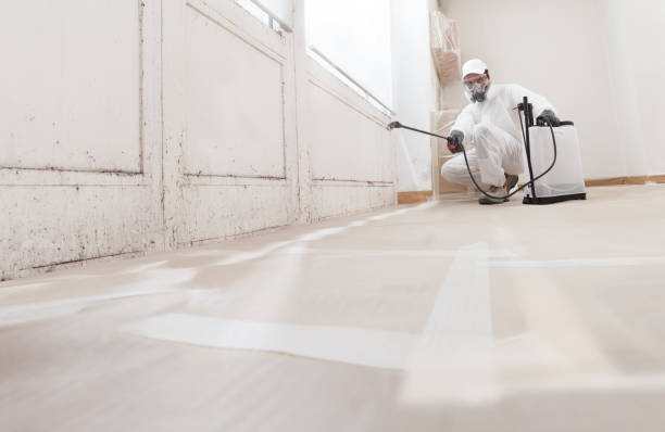 24/7 Emergency Mold Remediation experts in Ivor, VA