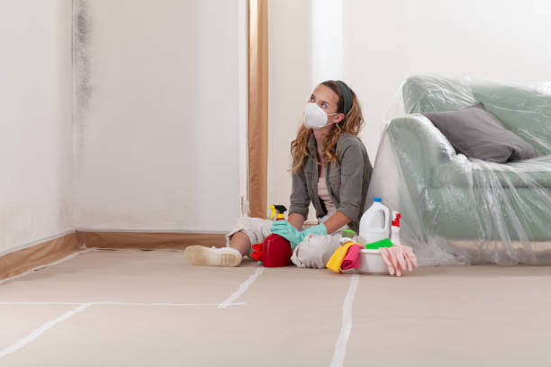 Reliable Mold Remediation contractor in Ivor, VA by 24 Hour Mold Removal